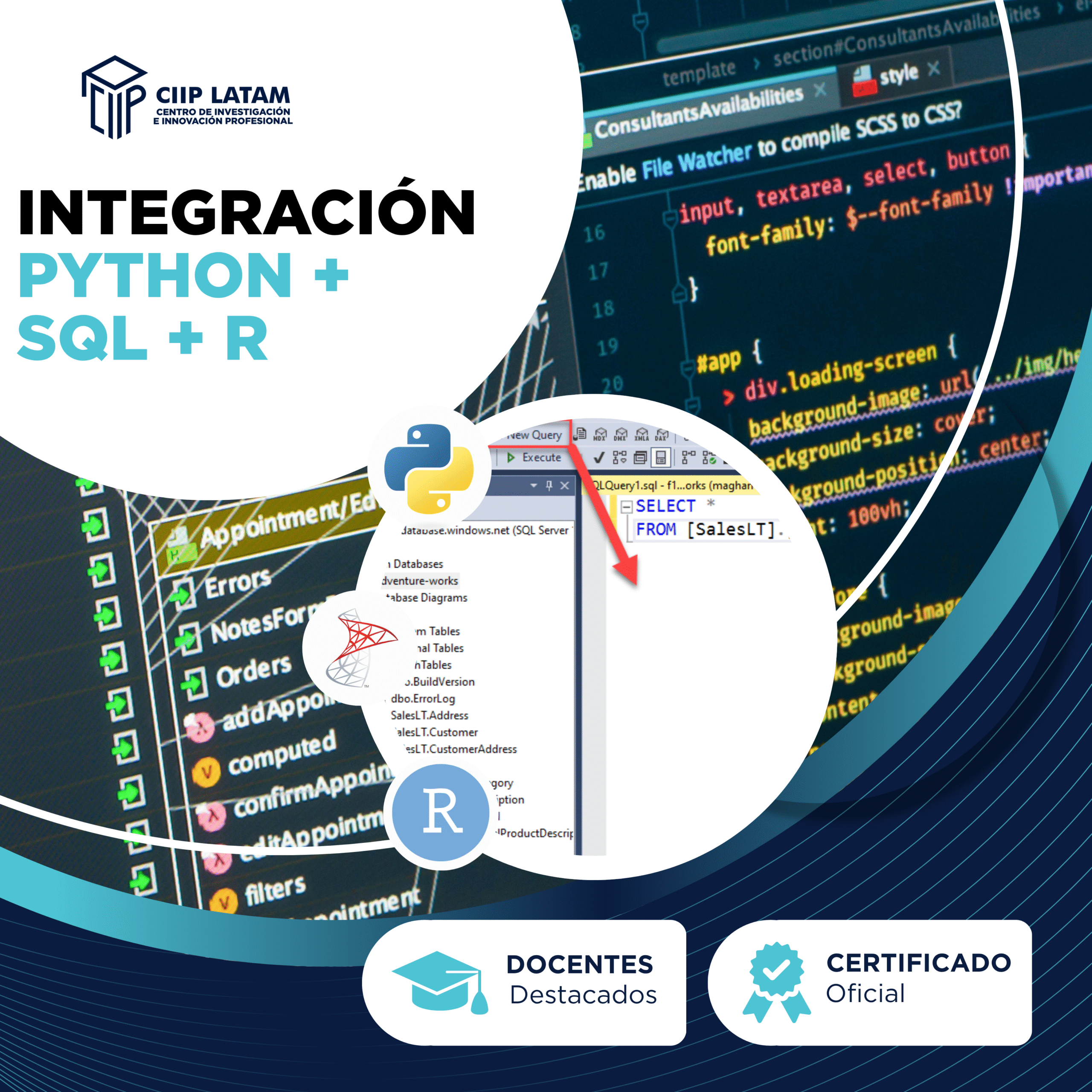 CURSO DE INTEGRACIÓN PYTHON + SQL + R