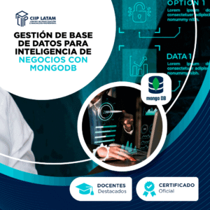 GESTIÓN DE BASE DE DATOS PARA INTELIGENCIA DE NEGOCIOS CON MONGODB